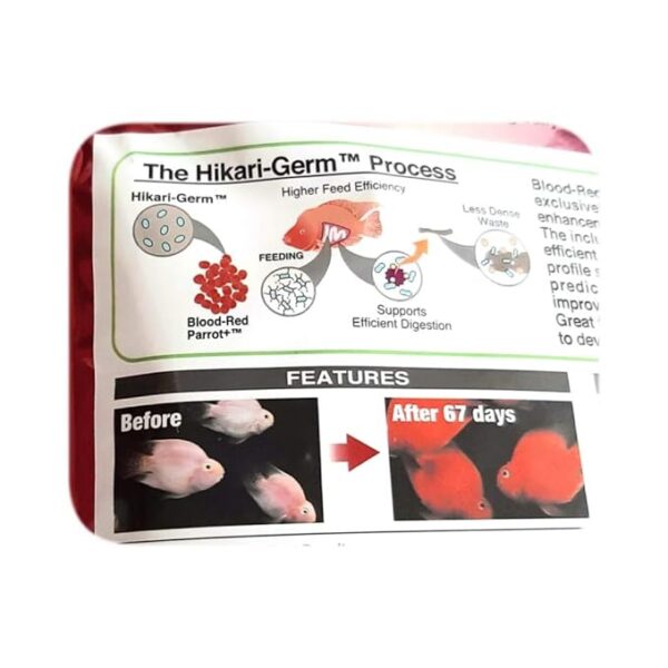 HIKARI GERM PROCESS- Blood-Red Parrot+ is a revolutionary diet developed exclusively for use with Red Parrot where active color enhancement is desired. The inclusion of the Hikari Germ ª promotes extremely efficient nutrient utilization while the balanced ingredient profile supports a healthy immune system, desirable form, predicable growth, sufficient energy sources and improved coloration. Great for advanced hobbyists who want their Red Parrot to develop to their full potential. Hikari Aquatic Lab Test results- Test Period: 67 days Test Fish: Red Parrot Water temperature: 25 ¡C (77 ¡F) Noticeable color improvement was visible within two weeks and fully developed in 67 days. - Image 2