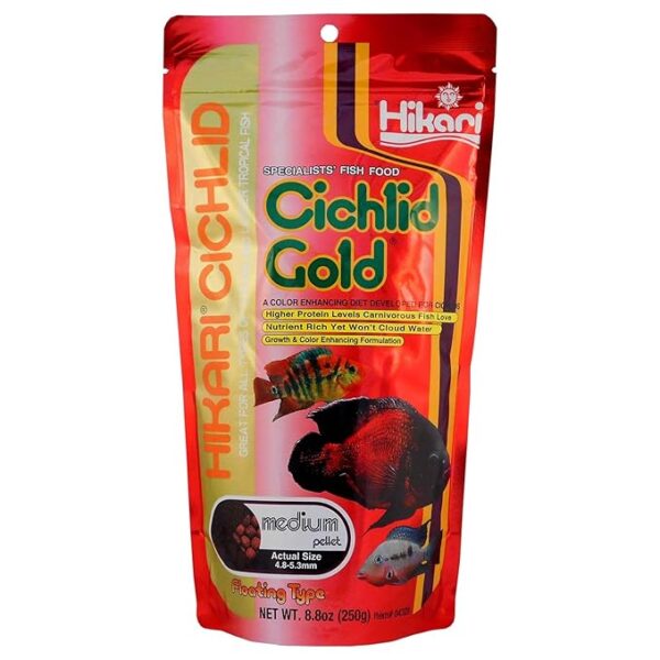 Hikari Cichlid Gold Floating Pellets – 8.8 oz (Medium) | Premium Nutrition for Young Adult Cichlids