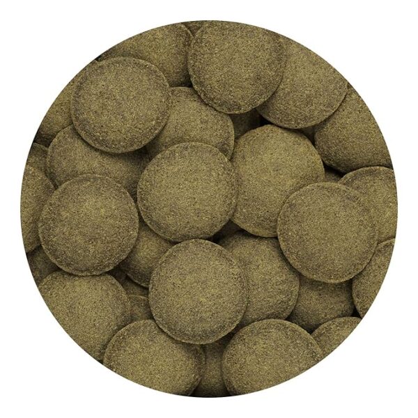 Hikari Tropical Sinking Algae Wafers – 40g | Premium Algae-Based Nutrition for All Life Stages - Image 6